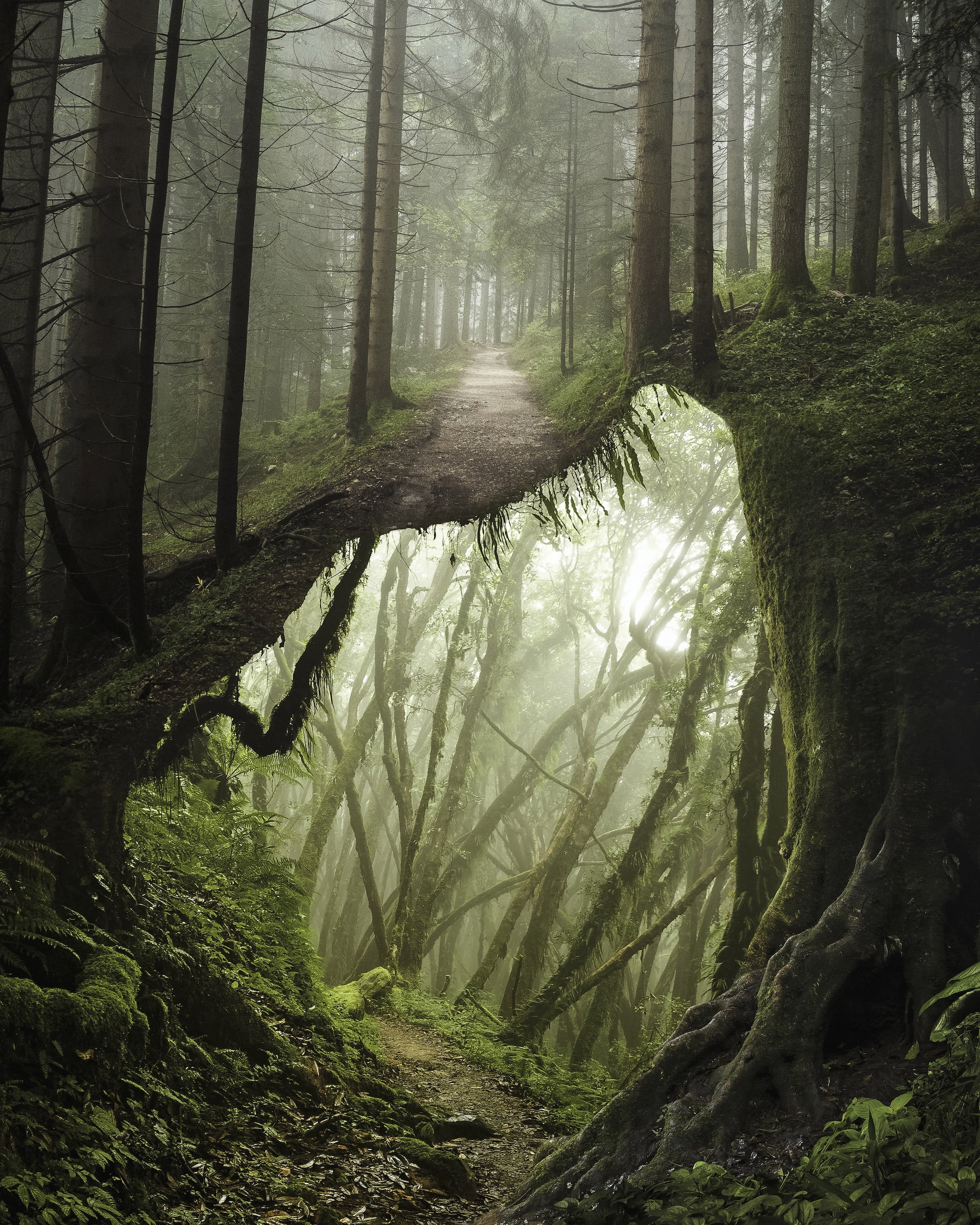 Justin Peters Fantastical Landscapes and Creatures