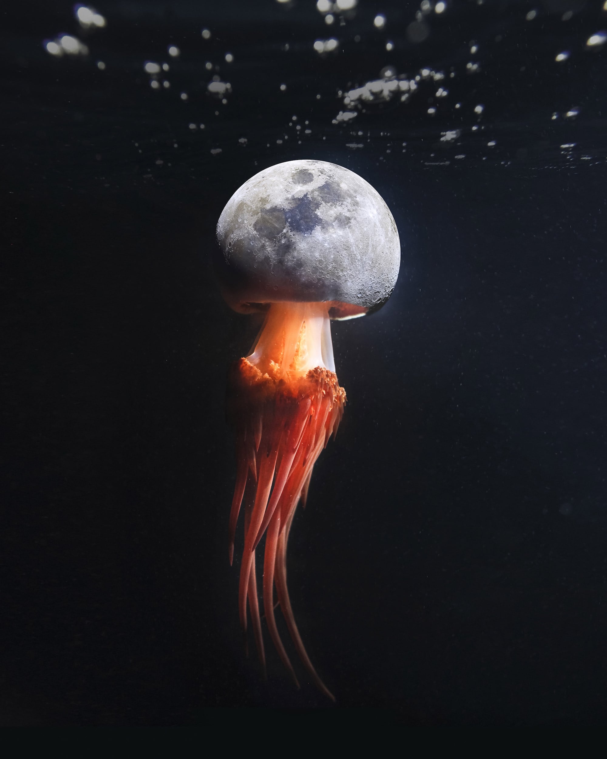 Justin Peters Fantastical Landscapes and Creatures